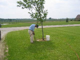 root feeding, vertimulching, Turface MVP, HHI 7-7-7, PHC Vertimulch, Main Event Iron